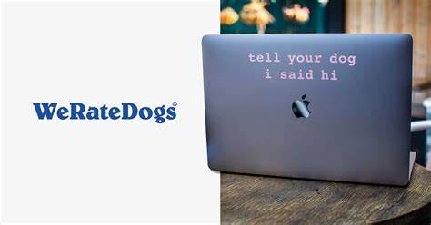 WeRateDogs image